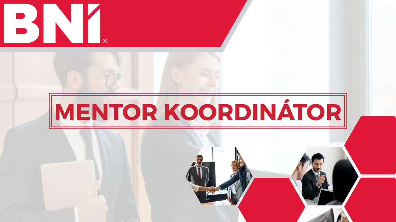 5. Mentor koordinátor