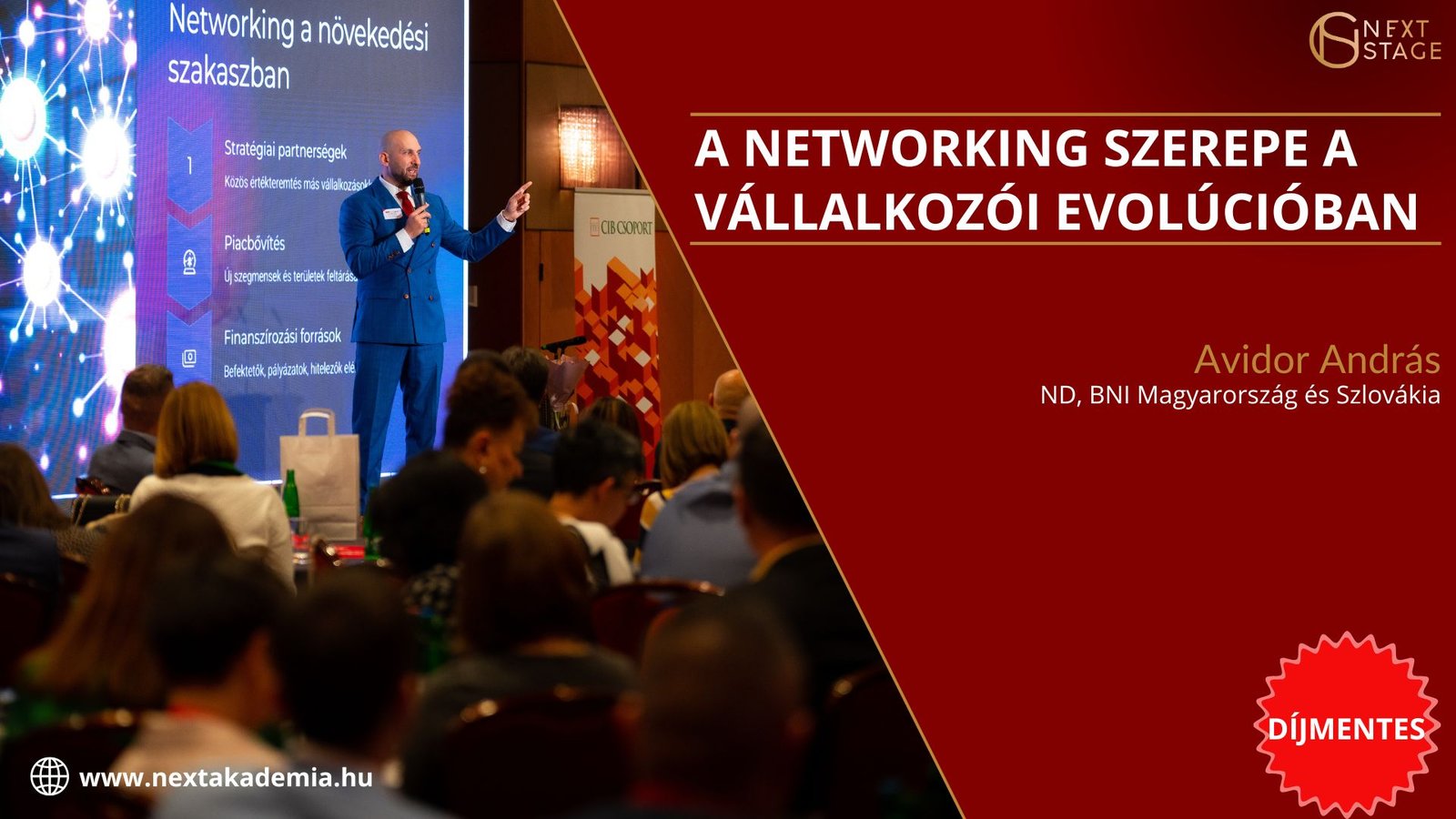 A networking szerepe a vállalkozói evolúcióban