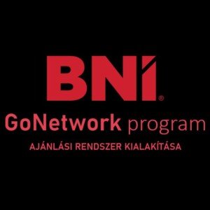 Kircsi Levente - GoNetwork program