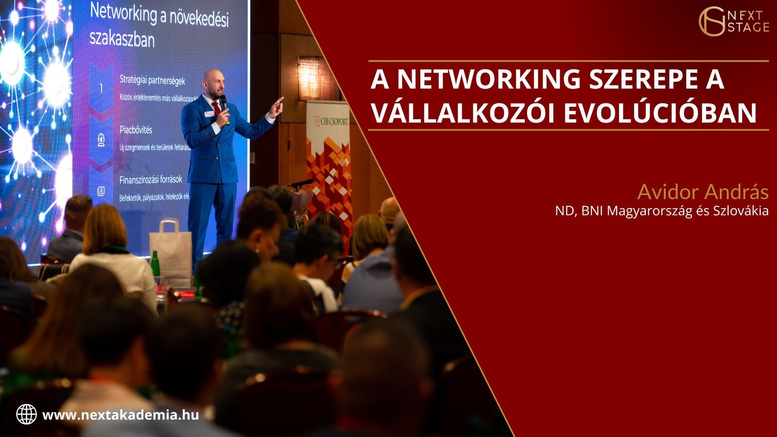 A networking szerepe a vállalkozói evolúcióban